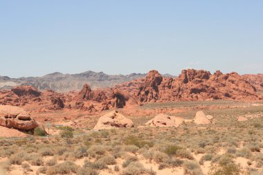 Valley of Fire Nevada