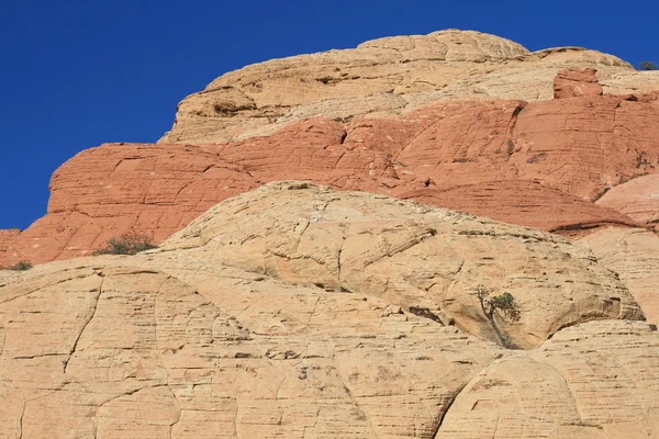 Red Rock Canyon, Nevada — Stock Photo, Image