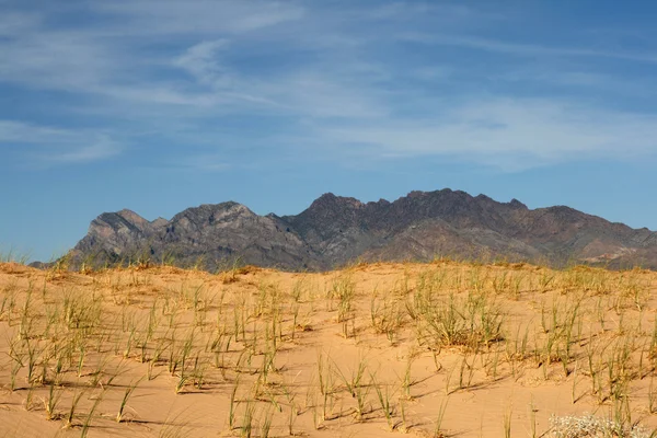 Dunas de areia Kelso no deserto de Mojave — Fotografia de Stock