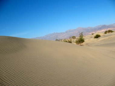 kum tepeleri death valley California