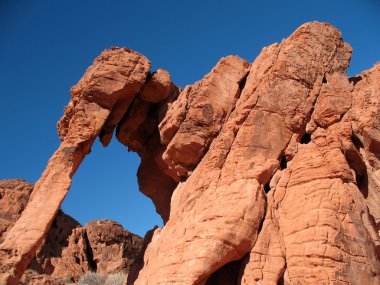 Elephant Rock in Valley of Fire Nevada clipart