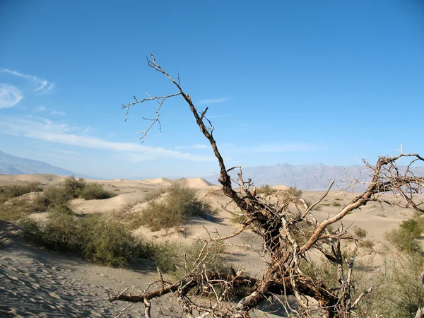 Αμμοθίνες στην Καλιφόρνια κοιλάδα του θανάτου — Φωτογραφία Αρχείου