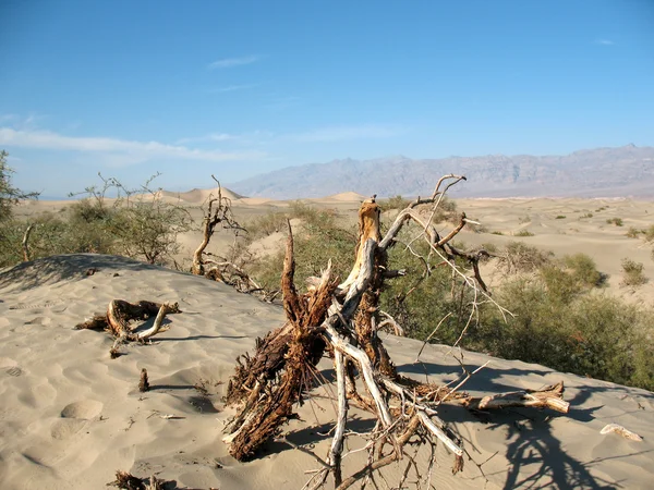 Dunas de arena en Death Valley California —  Fotos de Stock