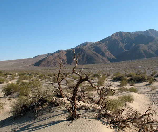 Dunas de arena en Death Valley California —  Fotos de Stock