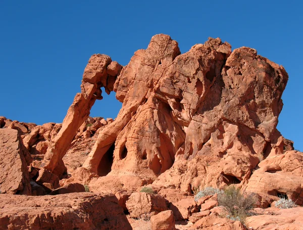 Elephant Rock in Valley of Fire Nevada — Stock Photo, Image