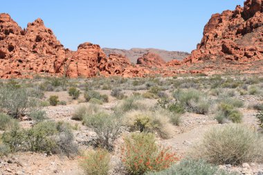 Valley of Fire Nevada