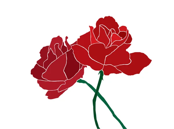 Duas rosas vermelhas —  Vetores de Stock