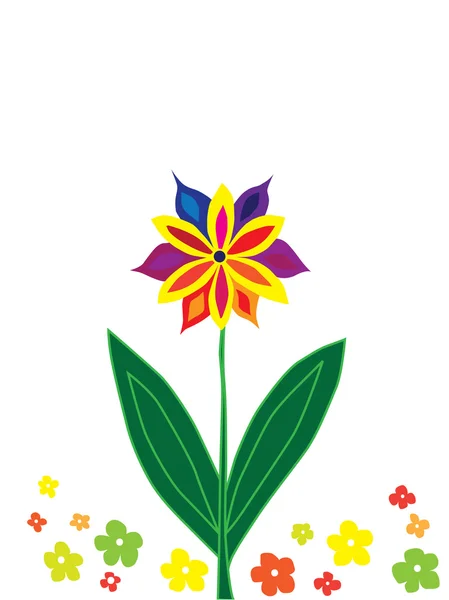 Multicolor flower — Stock Vector