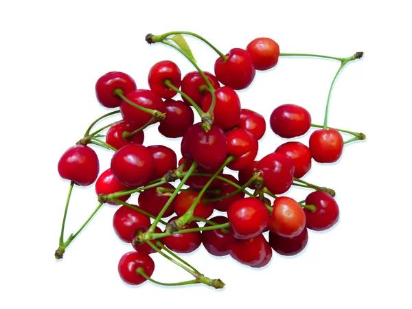 Berries of red cherry — Stok Foto