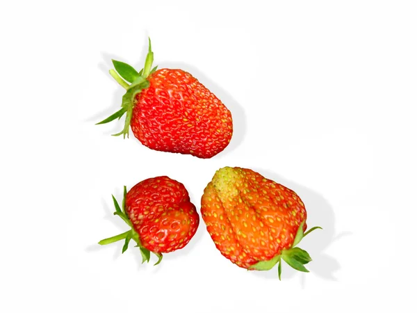 Trzy czerwone truskawki — Zdjęcie stockowe