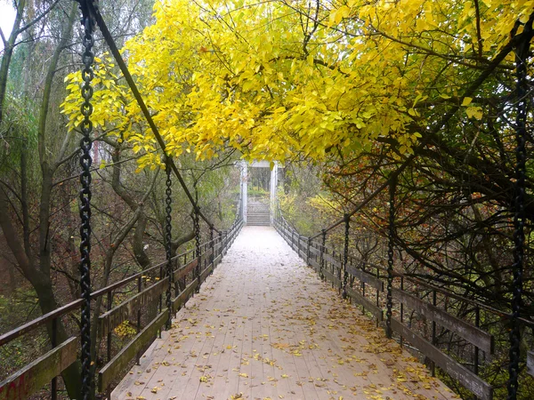 Γέφυρα στο δάσος — Φωτογραφία Αρχείου