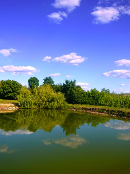 Lago, árvores e céu azul — Fotografia de Stock