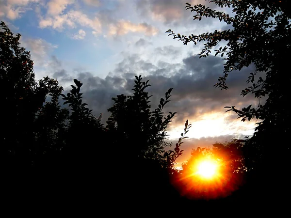 Lata słońca — Zdjęcie stockowe