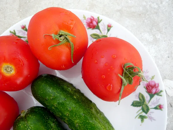 Červená rajčata a zelené okurky — Stock fotografie