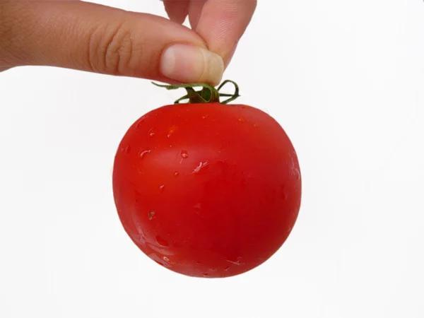 Hand med tomat — Stockfoto
