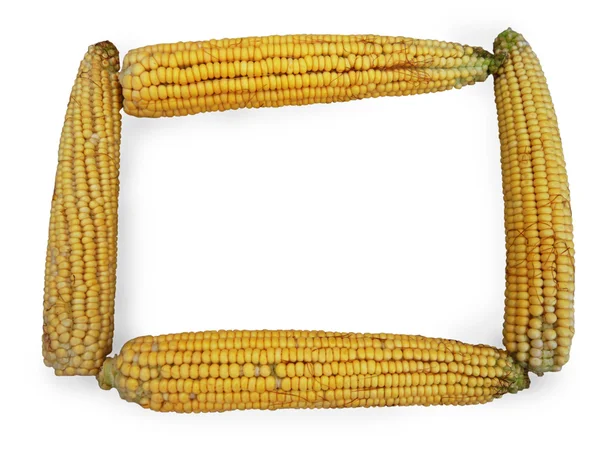 Кукурузная рама — стоковое фото