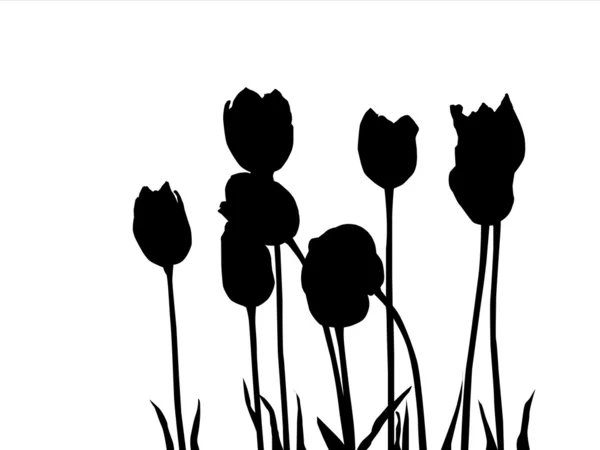 블랙 tulipes — 스톡 벡터