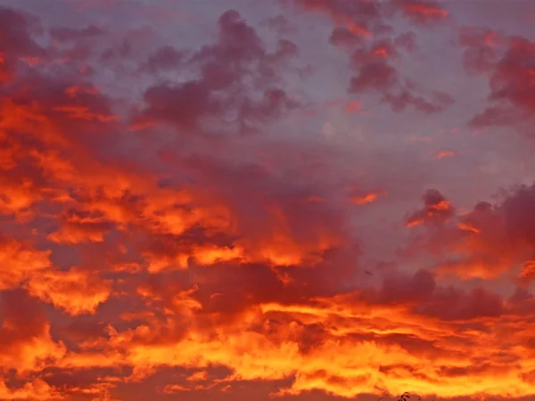 Fioletowy niebo — Zdjęcie stockowe