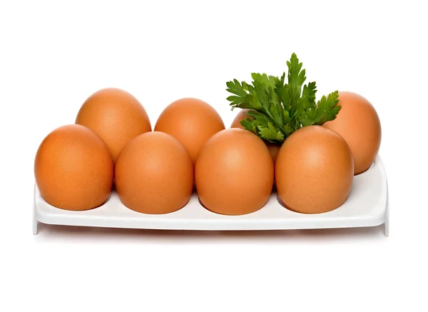 Kap içinde tavuk yumurtası — Stok fotoğraf
