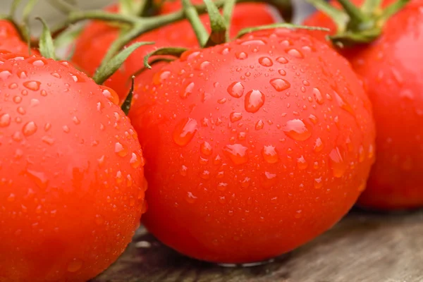 Tahtada taze domatesler — Stok fotoğraf