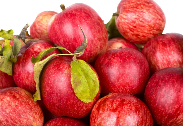 Красные спелые яблоки с зелеными листьями — стоковое фото