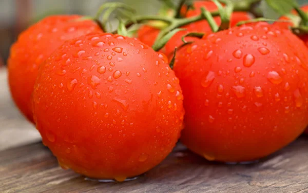 Tomates fraîches dans des gouttes d'eau — Photo