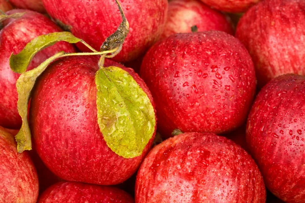 Latar belakang dari apel merah — Stok Foto