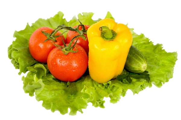 Légumes frais colorés — Photo