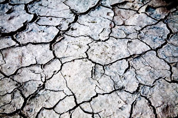 Textura seca del suelo —  Fotos de Stock