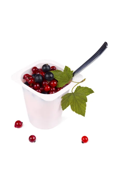 Iogurte com groselhas pretas e vermelhas — Fotografia de Stock