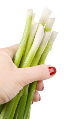 Woman's hand holding green onion clipart