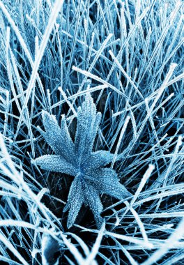 Frosty grass and leaf toned blue clipart