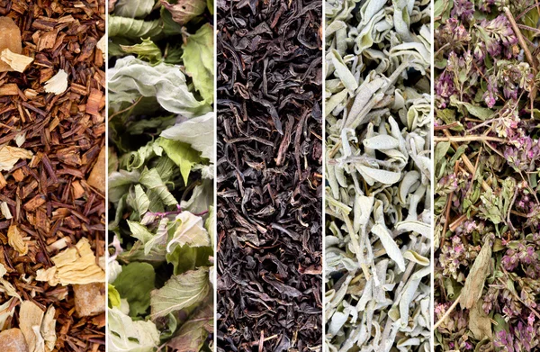 ハーブと紅茶のコレクション — ストック写真