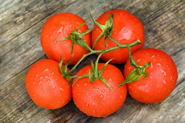 Čerstvá rajčata s kapkami vody — Stock fotografie