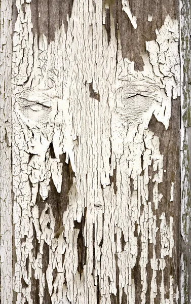 오래 된 나무판 — 스톡 사진