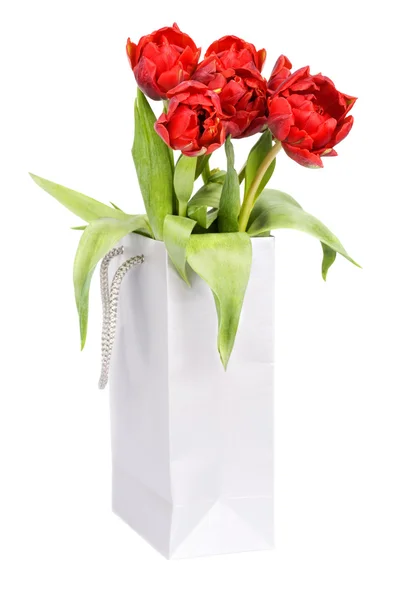 stock image Red tulips in silver paper bag