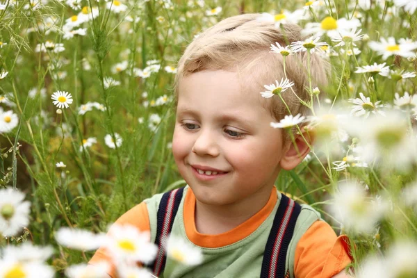 3 anos rapaz no campo da margarida — Fotografia de Stock