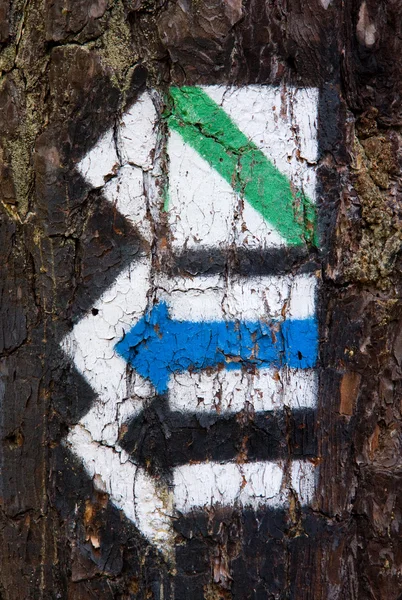 Flechas de sendero turístico en la corteza del árbol —  Fotos de Stock