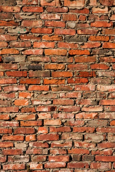 Grunge brique fond de mur — Photo