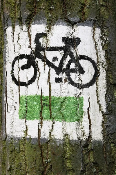 Paint of touristic bike trail.