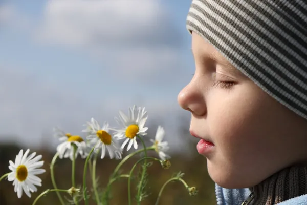 Νεαρό αγόρι μυρίζοντας λουλούδι χαμομηλιού — Φωτογραφία Αρχείου