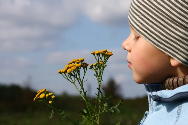 Boy smelling autumnal flower outdoors — Stock Photo, Image