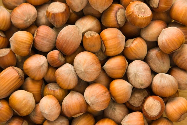 stock image Hazelnut background