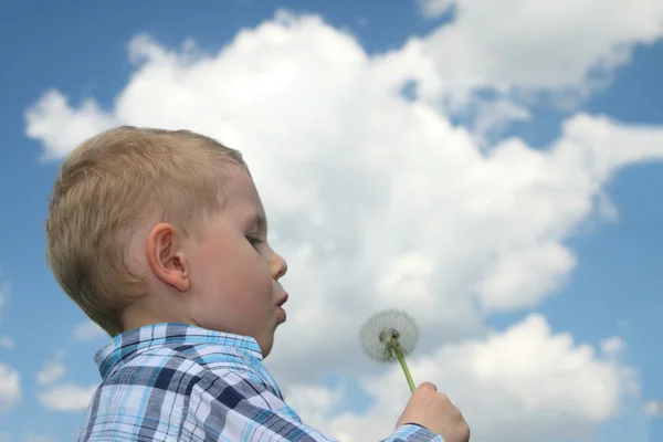 Boy blowing dandelion — Stock Photo, Image