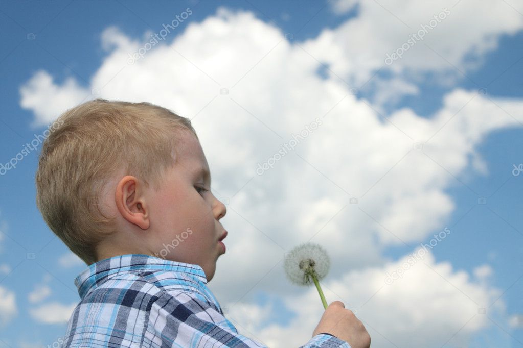 Boy blowing dandelion