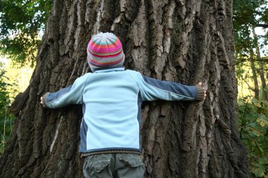 Boy trying to embrance huge old tree clipart