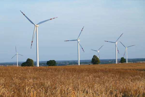Power-genererende windturbines — Stockfoto