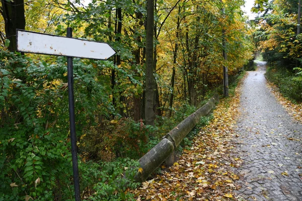 Sign on a road covered by leaves — Stock Photo, Image