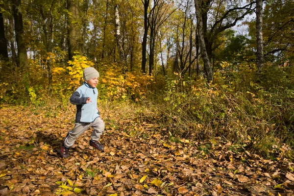 Хлопчик біжить осінніми пейзажами — стокове фото
