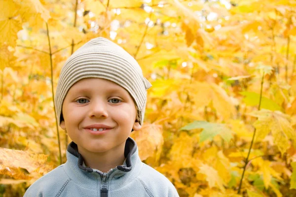 Happy boy smiling in autumnal scenery — Stock Photo, Image